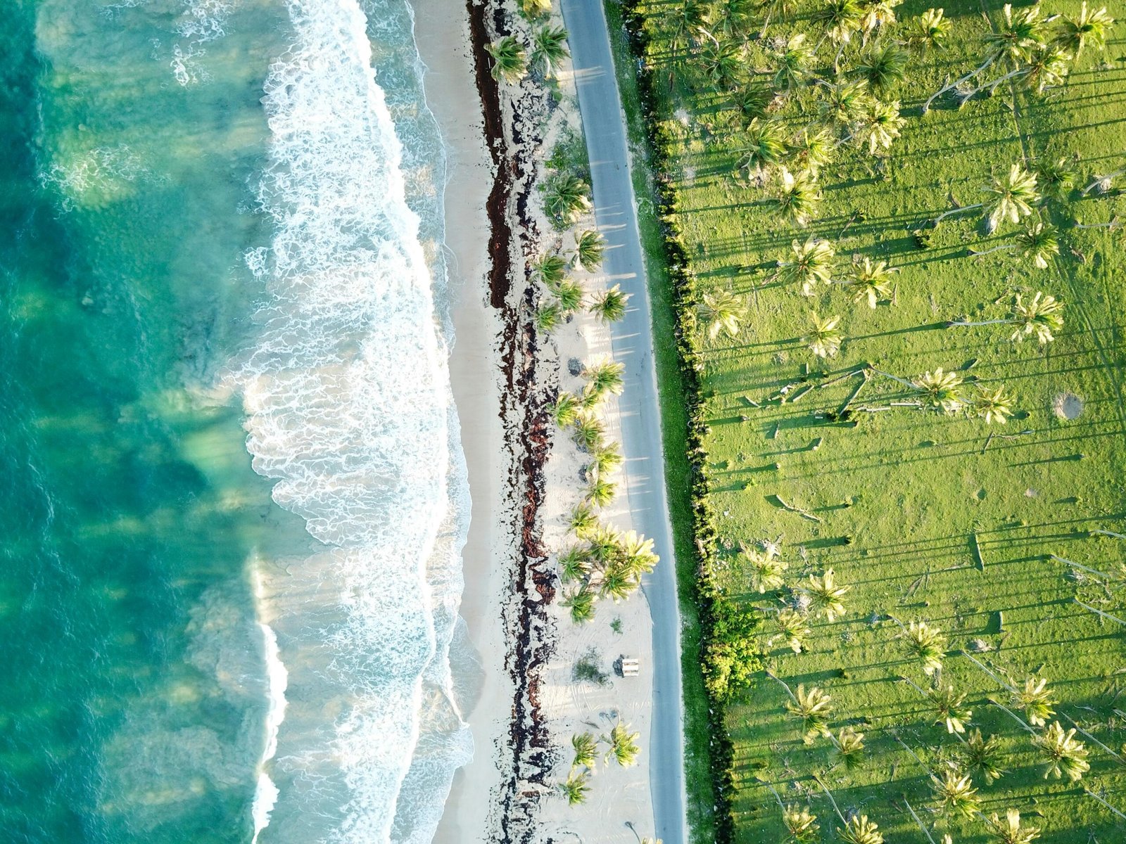 République dominicaine A stunning aerial shot of a pristine beach and lush palm trees in Santo Domingo, Dominican Republic.